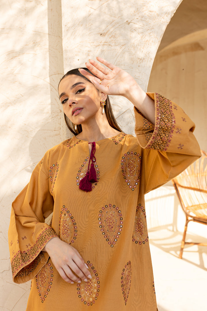 SEQUIN EMBROIDERED SHIRT WITH DHANAK SEQUIN EMBROIDERED TROUSER-297