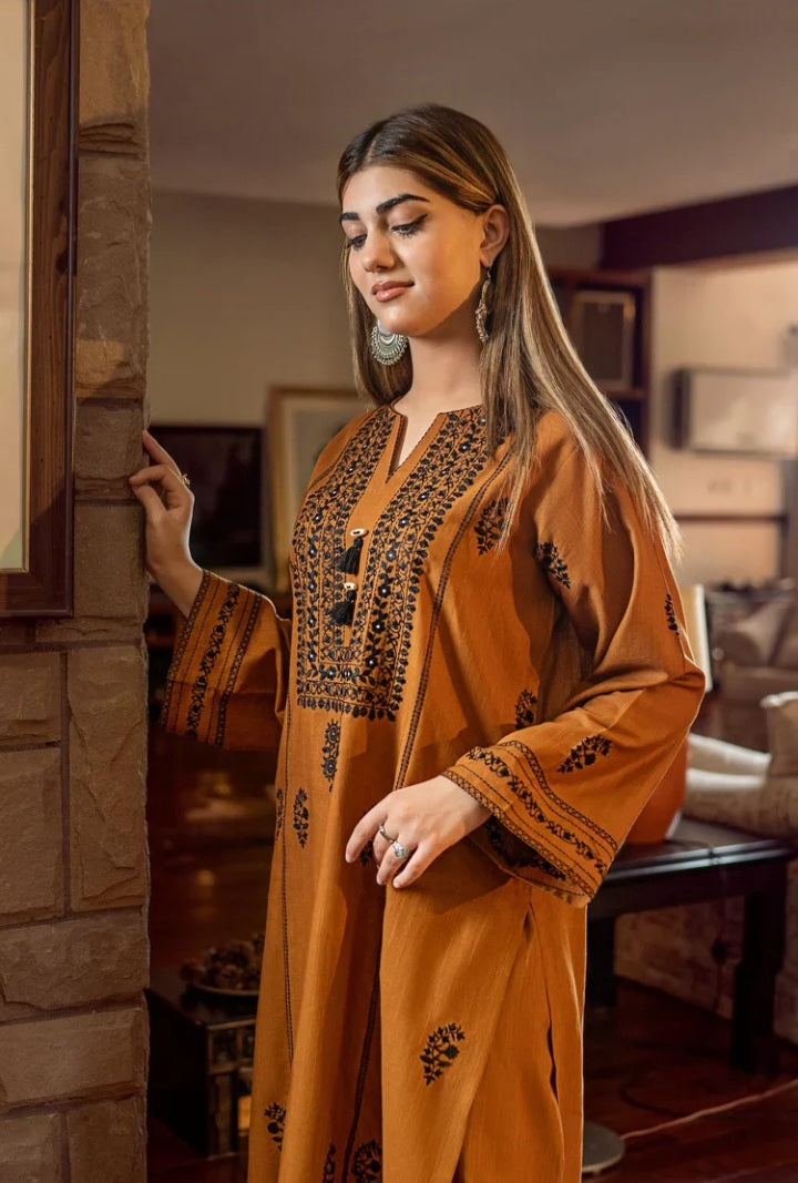Dhanak-2pc Embroidered-3543